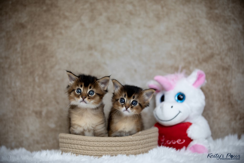   Wanda Vixy & Vision Sola 1 Mois