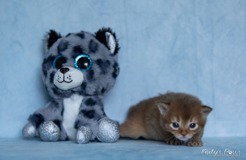 Athena-Abigail  2 Semaines