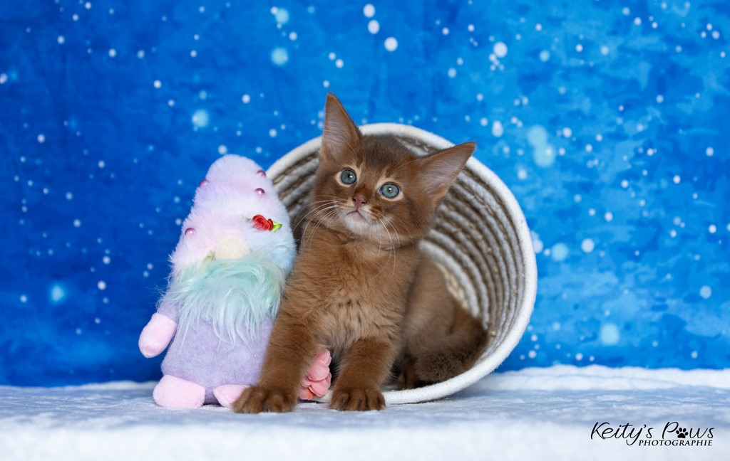  Zenkō "Teto"  1 Mois