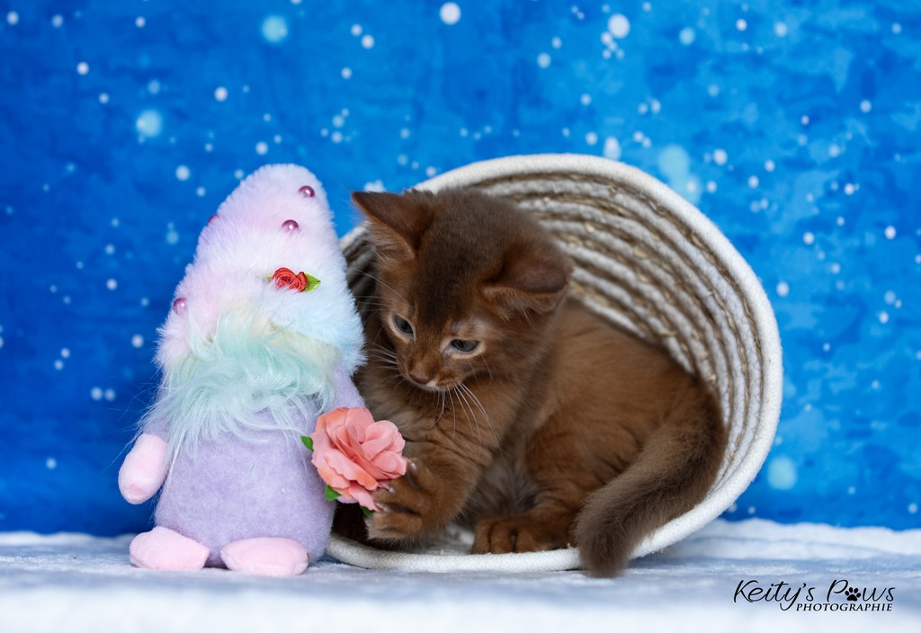  Zenkō "Teto"  1 Mois