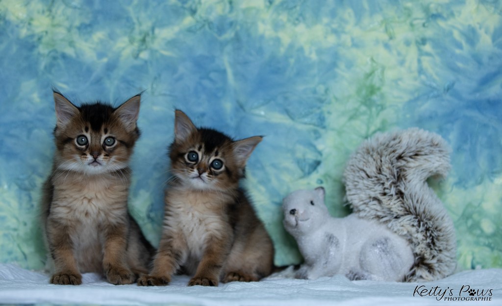  Wanda Vixy & Vision Sola 1 Mois