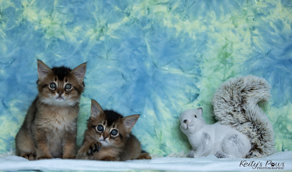  Vision Sola Wanda Vixy 1 Mois