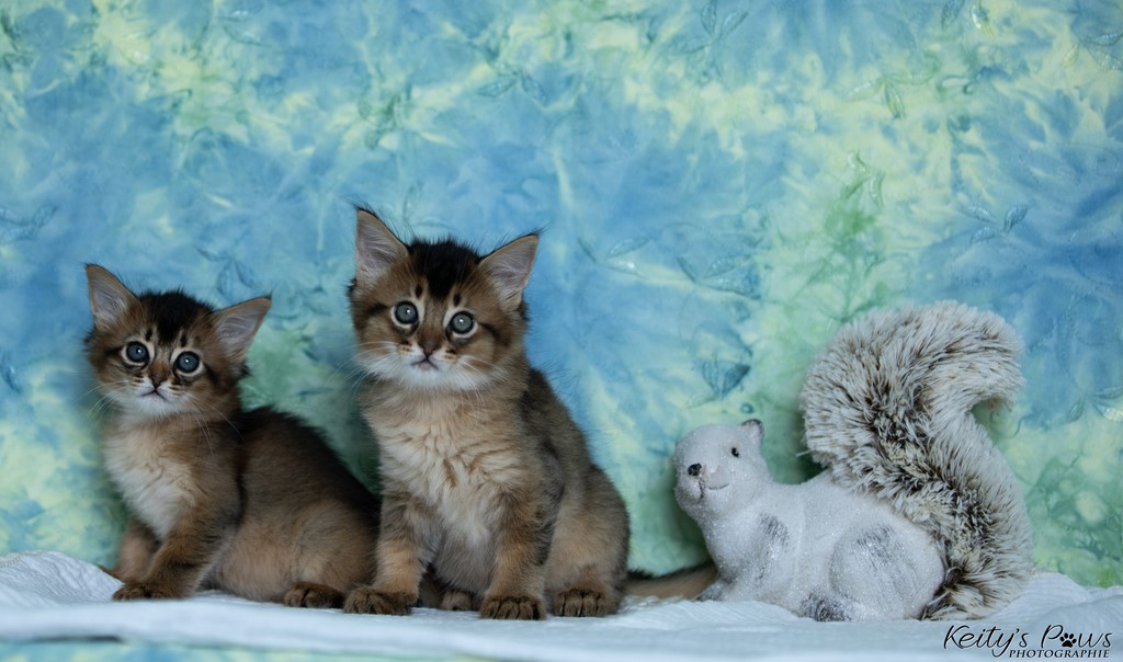  Vision Sola Wanda Vixy 1 Mois