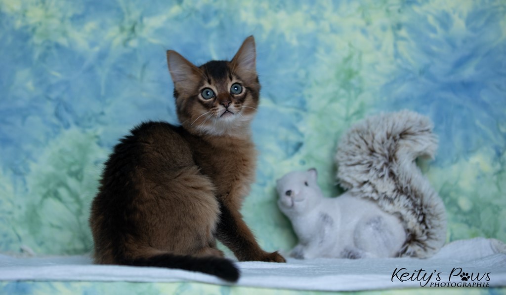 Yôkaï  "Sekiro"  2 Mois