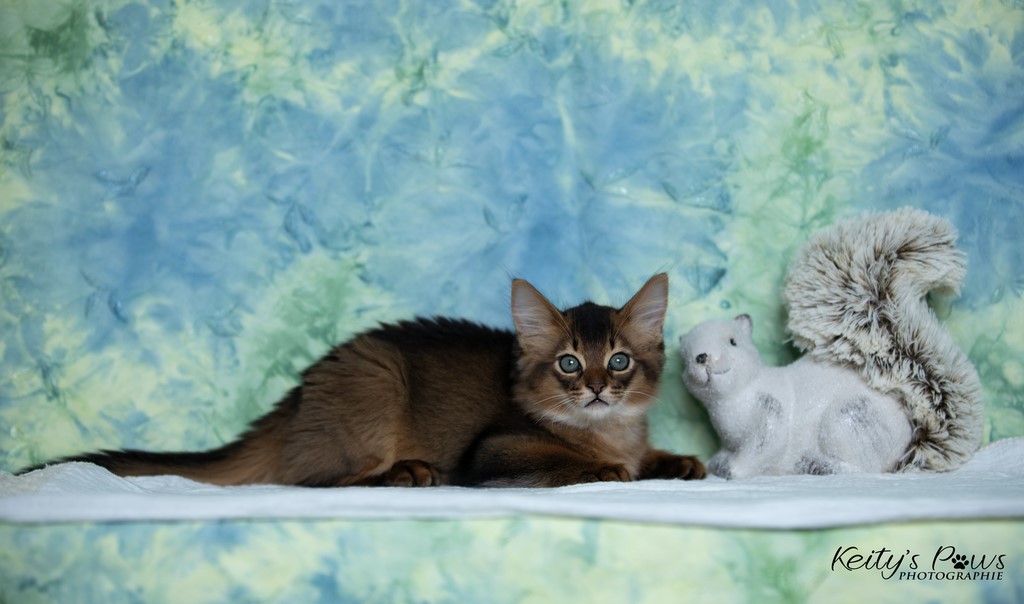 Yôkaï  "Sekiro"  2 Mois