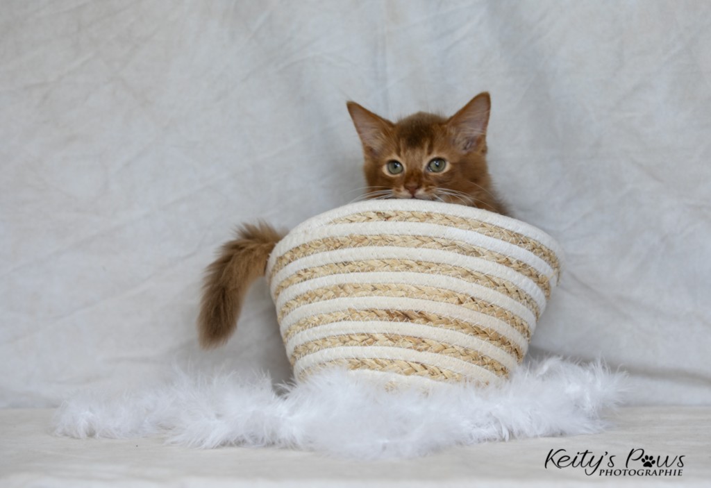 Ashka-Ayrton  2 Mois