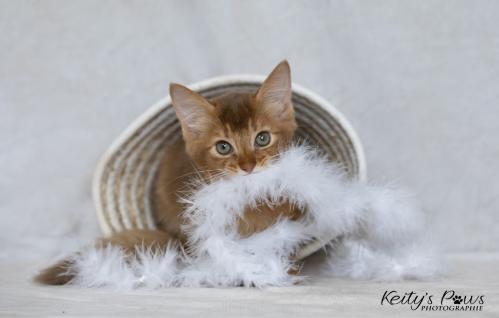  Asthur-Achille 2 Mois