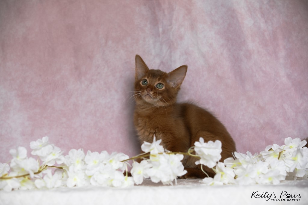  Zenkō "Teto"  2 Mois