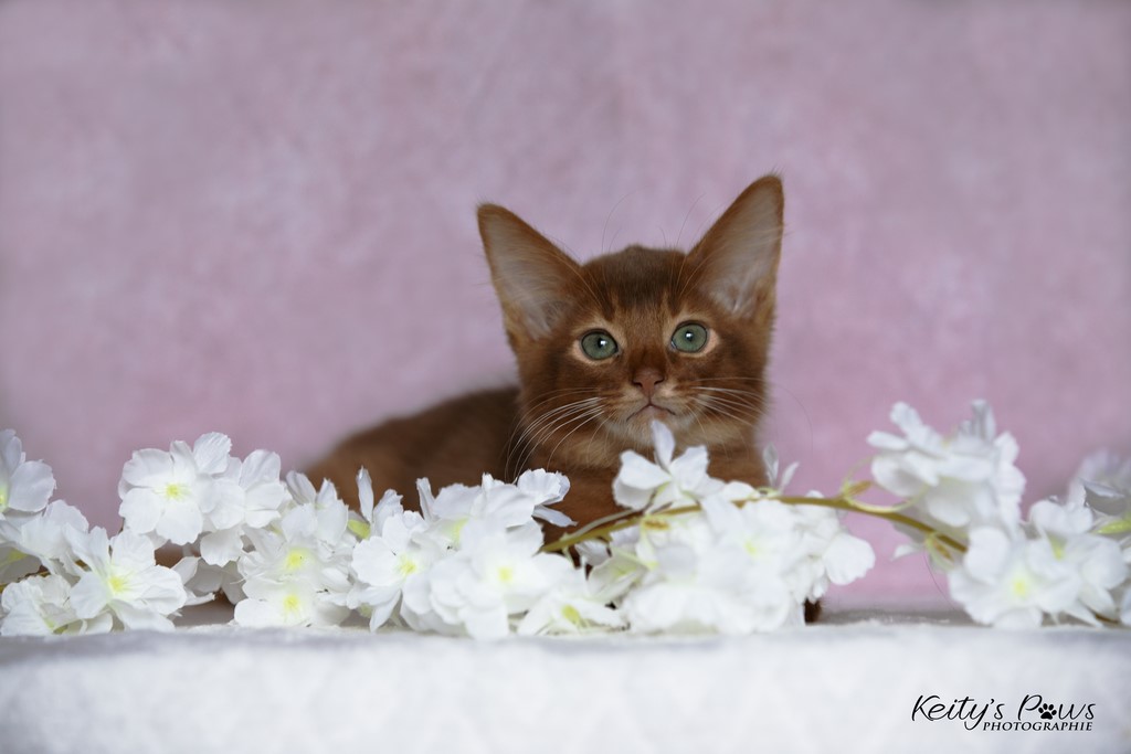  Zenkō "Teto"  2 Mois