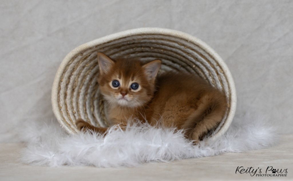 Athena-Abigail 1 Mois