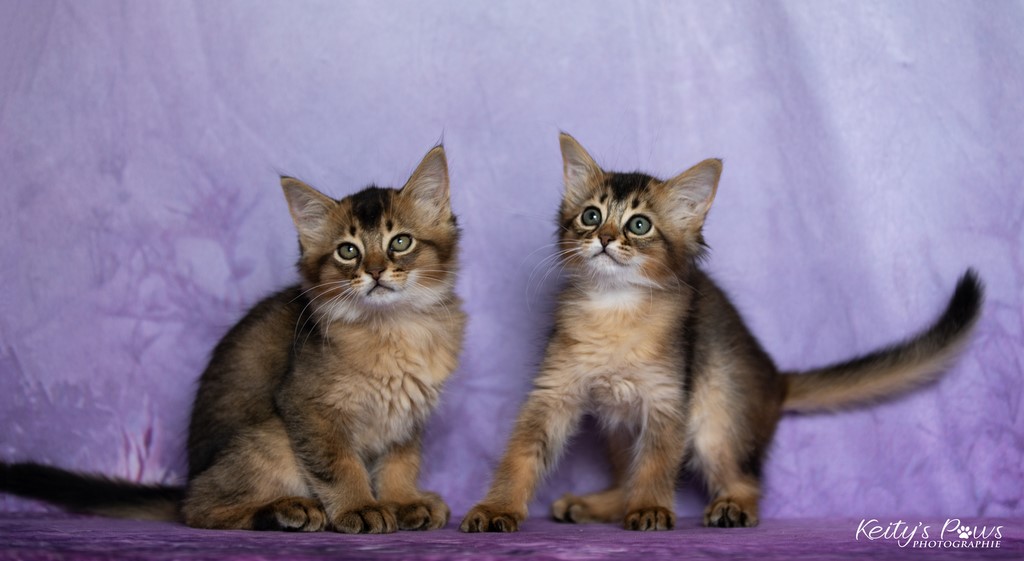  Wanda Vixy & Vision Sola 2 Mois