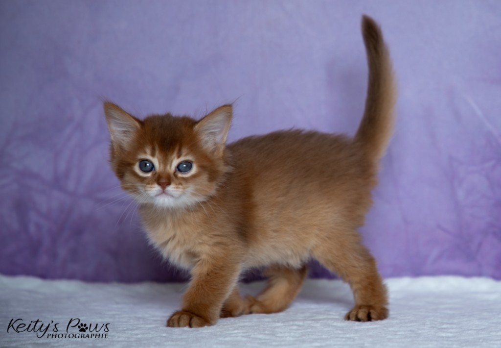  Athena-Abigail 1 Mois