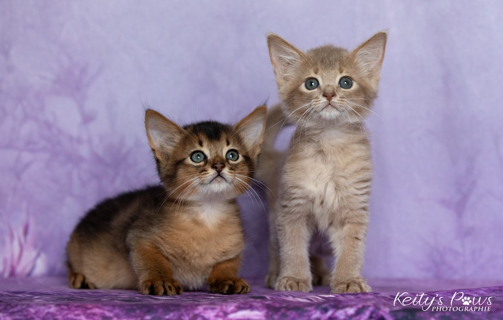 Zariyã Sitarã & Zéphyr Voltaire 1 Mois