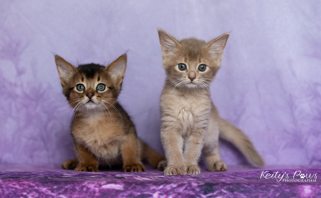 Zariyã Sitarã & Zéphyr Voltaire 1 Mois