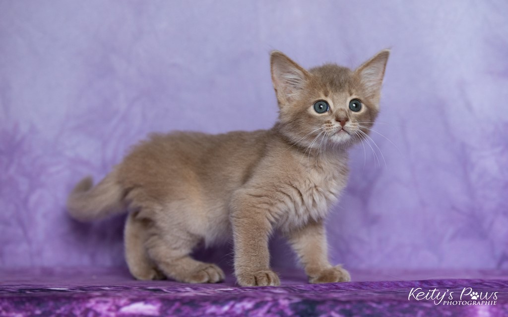 Zariyã Sitarã  1 Mois