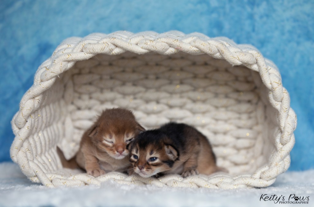 A......  & A....... 1 Semaine 