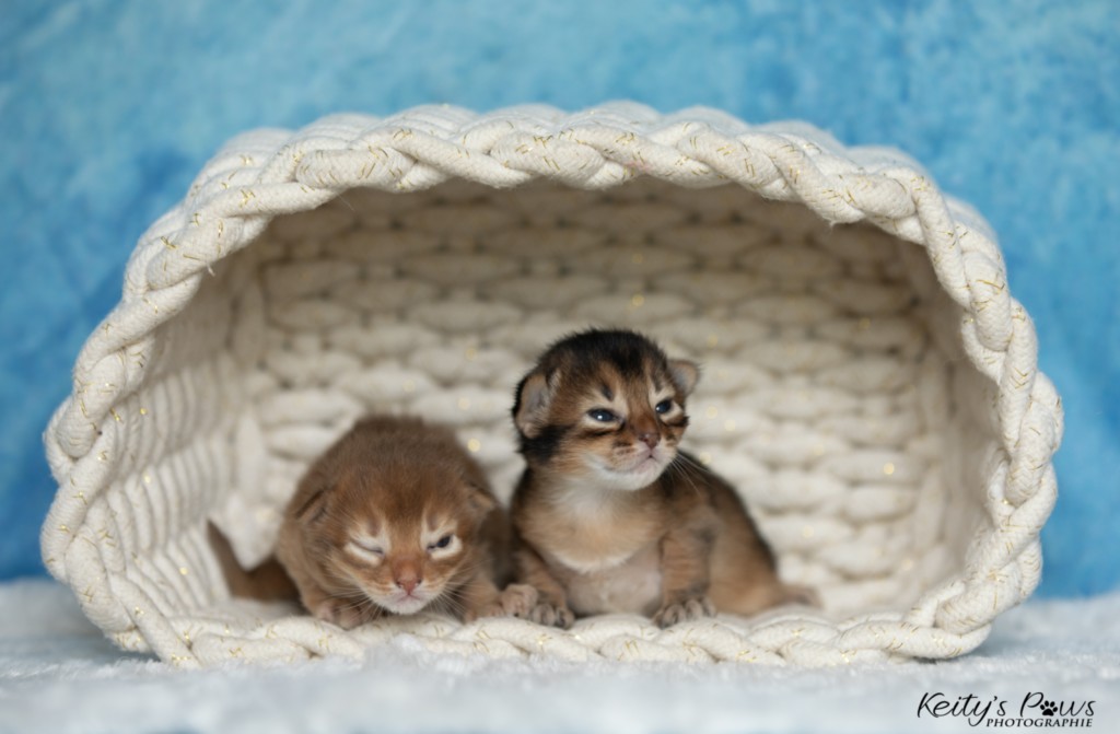 A......  & A....... 1 Semaine