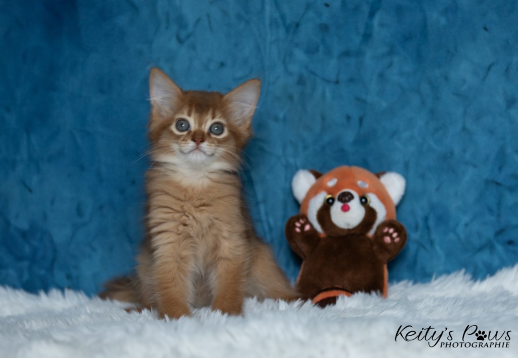 Athena -Abigail  2  Mois