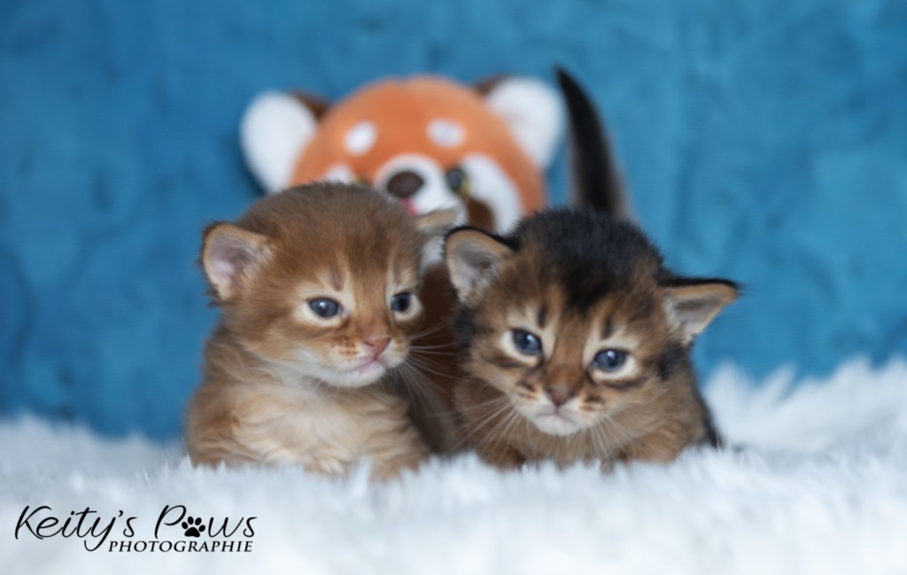 Adāhya-... & Aïdan-... 2 Semaines