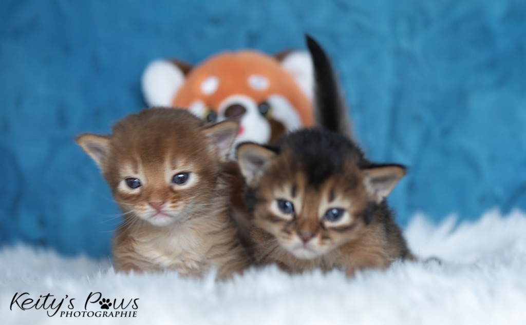 Adāhya-... & Aïdan-... 2 Semaines