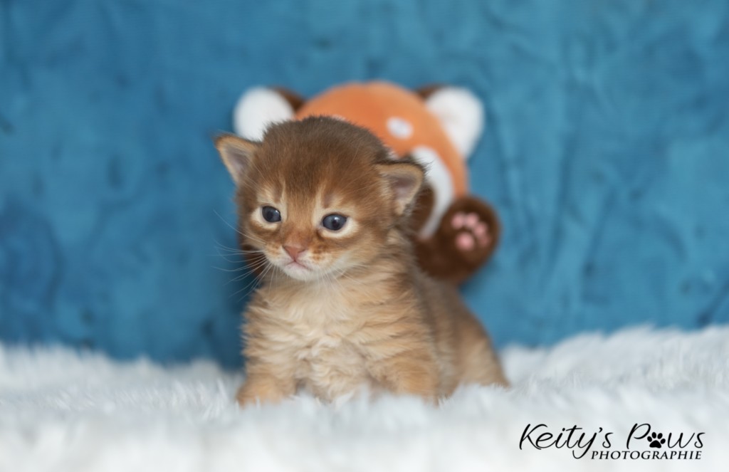  Aïdan-... 2 Semaines