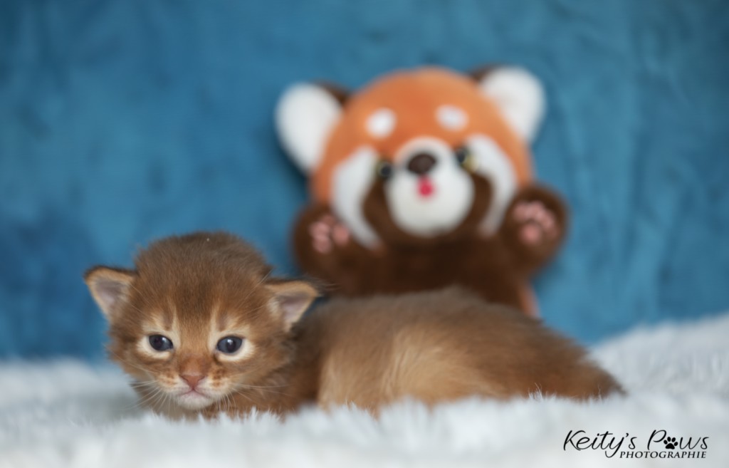  Aïdan-... 2 Semaines