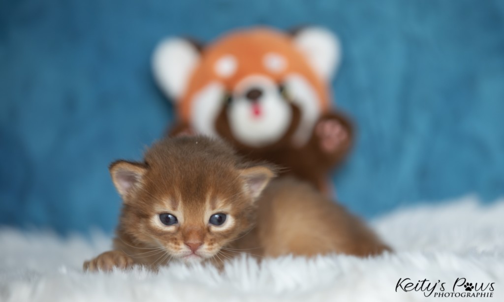  Aïdan-... 2 Semaines