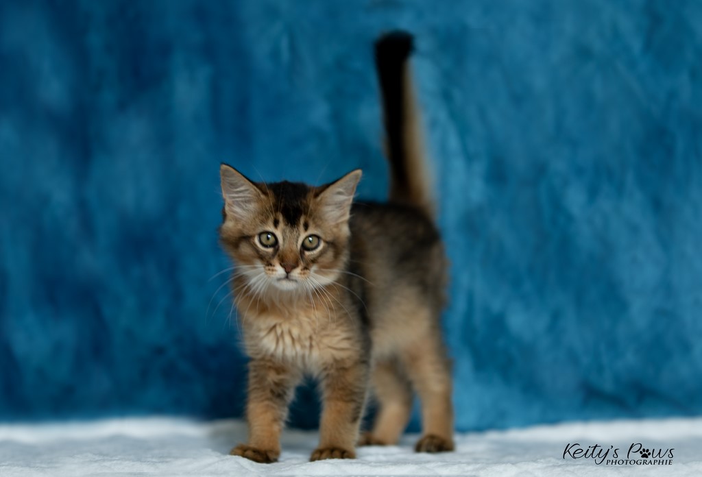  Vision Sola   2 Mois