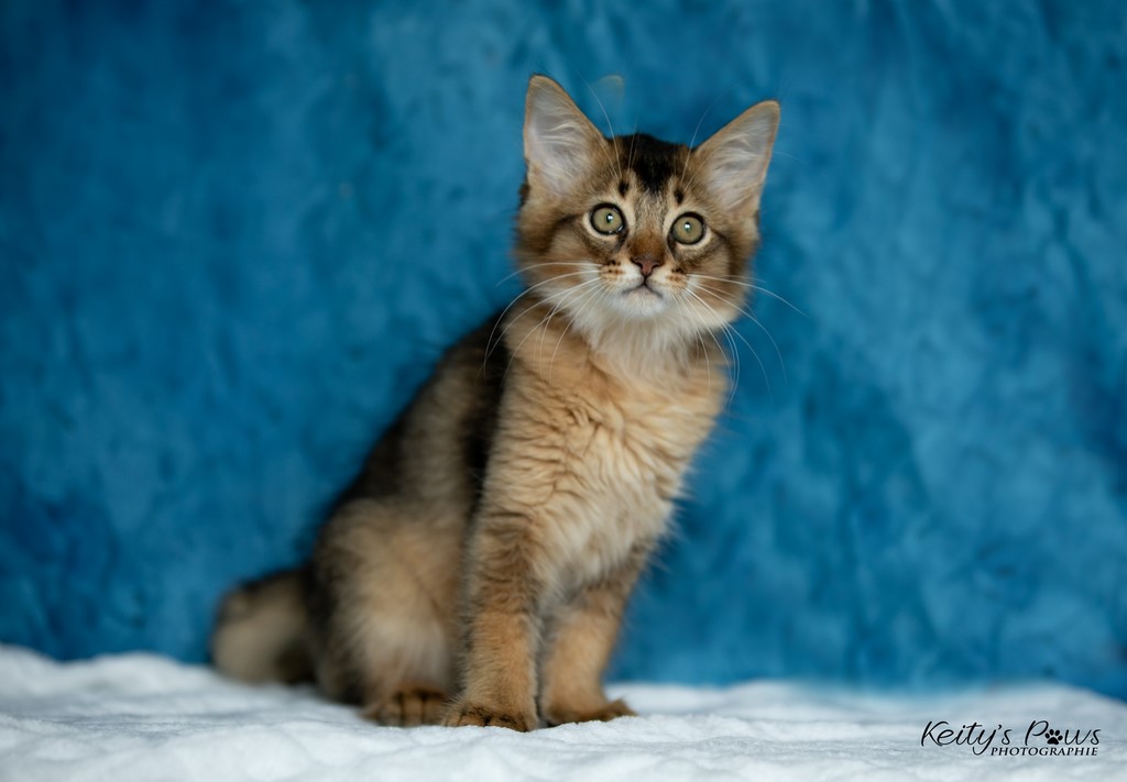  Vision Sola   2 Mois