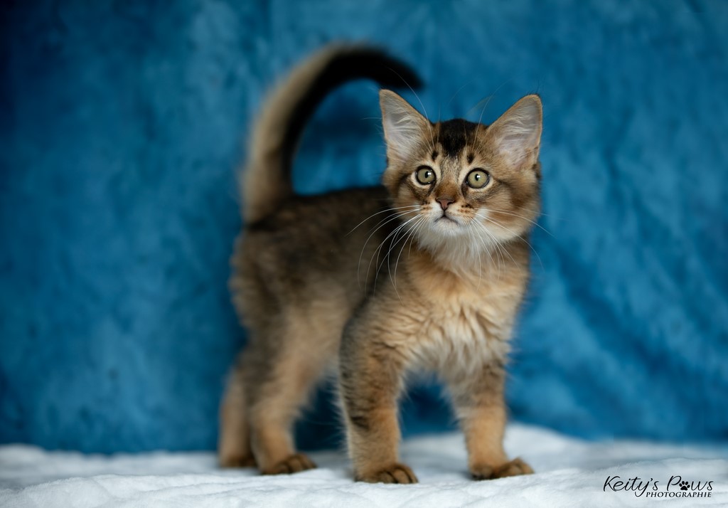  Vision Sola   2 Mois