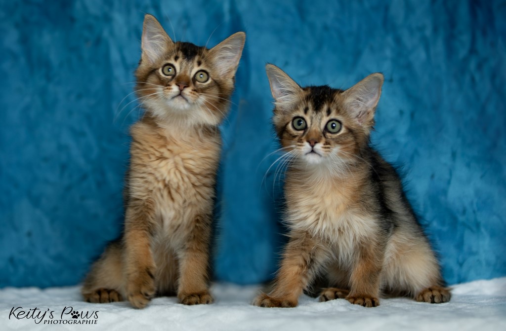  Vision Sola Wanda Vixy 2 Mois