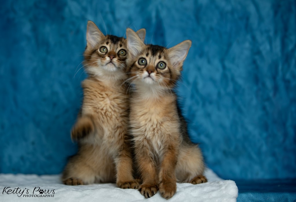  Vision Sola Wanda Vixy 2 Mois