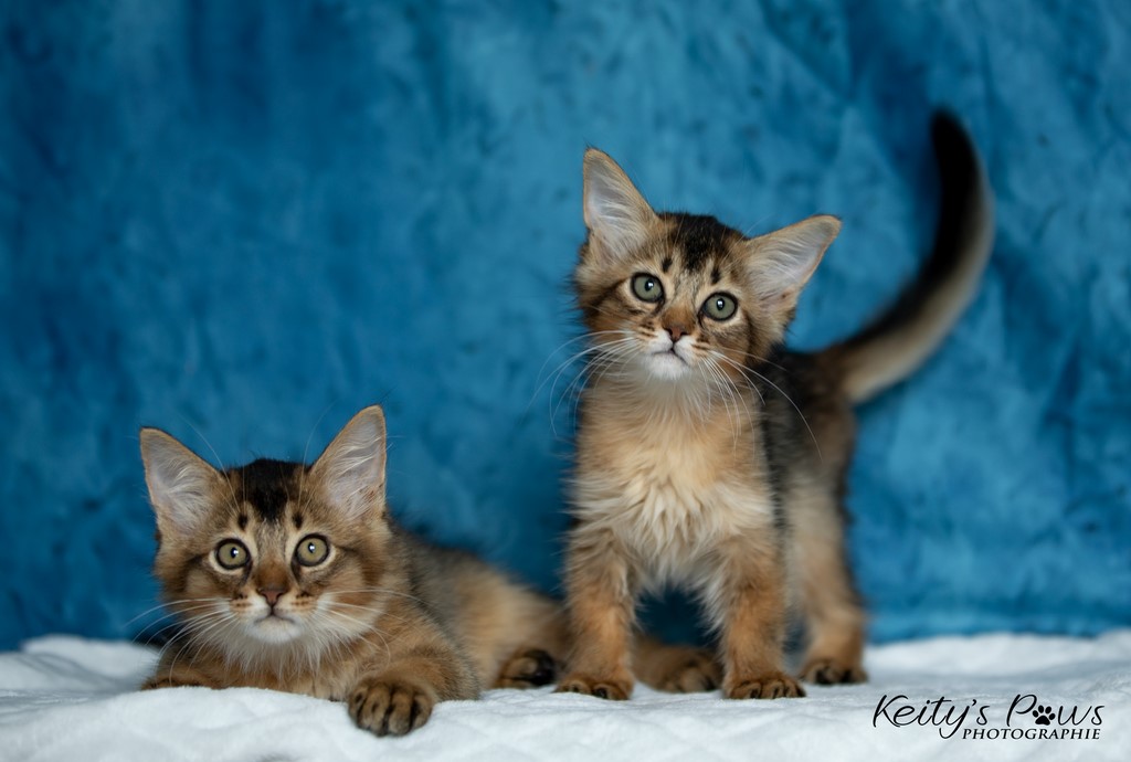  Wanda Vixy & Vision Sola 2 Mois