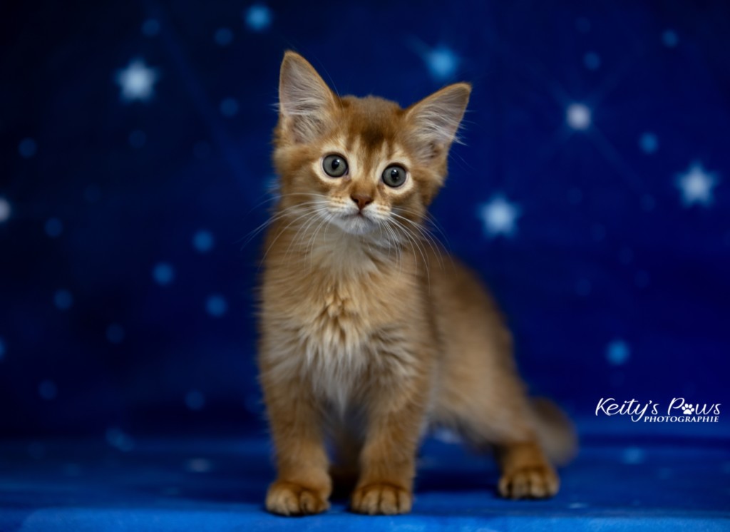 Athena -Abigail  2  Mois