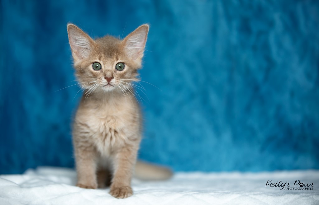  Zariyã Sitarã  2 Mois 