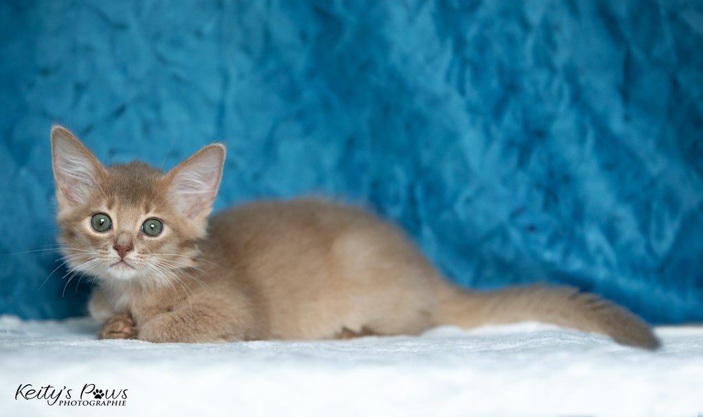  Zariyã Sitarã  2 Mois 