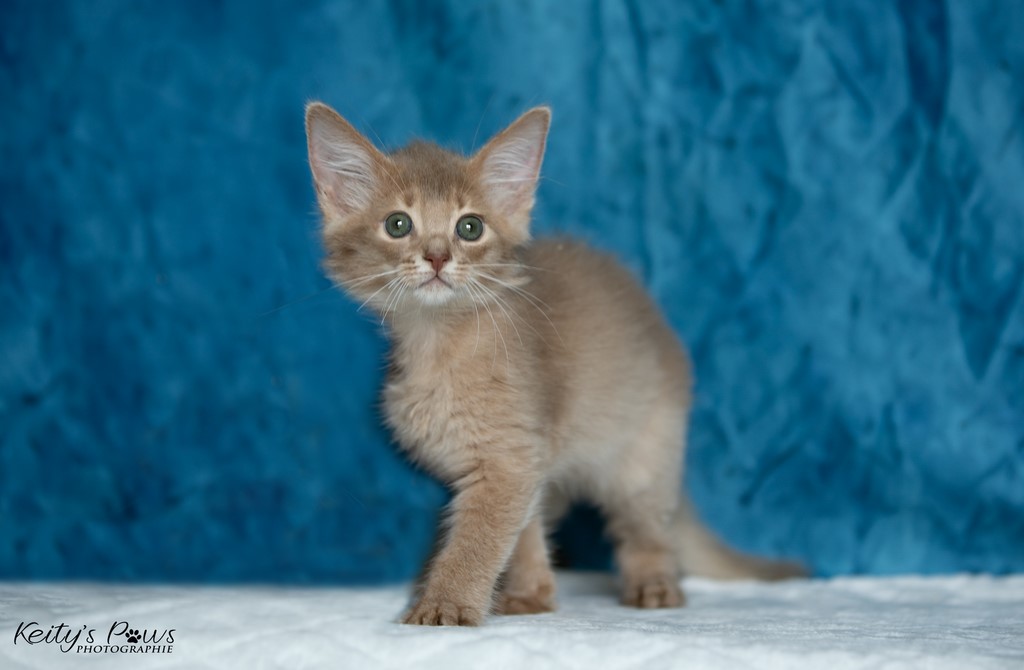  Zariyã Sitarã  2 Mois 