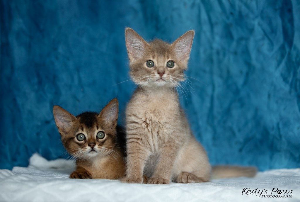 Zariyã Sitarã & Zéphyr Voltaire 2 Mois