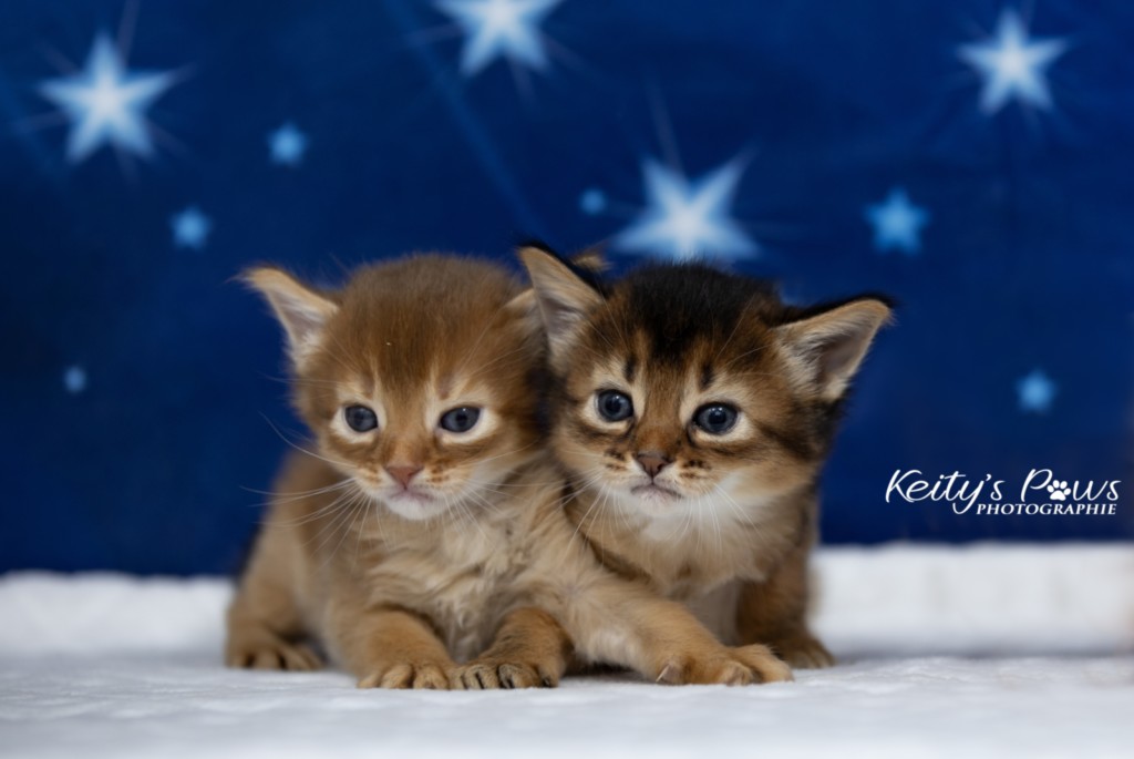 Adāhya-... & Aïdan-... 3 Semaines