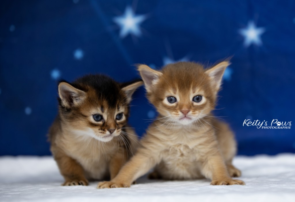 Adāhya-Alya & Aïdan-Aïko 3 Semaines