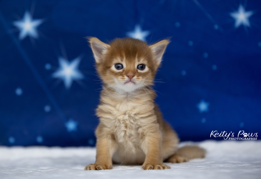  Aïdan-... 3 Semaines