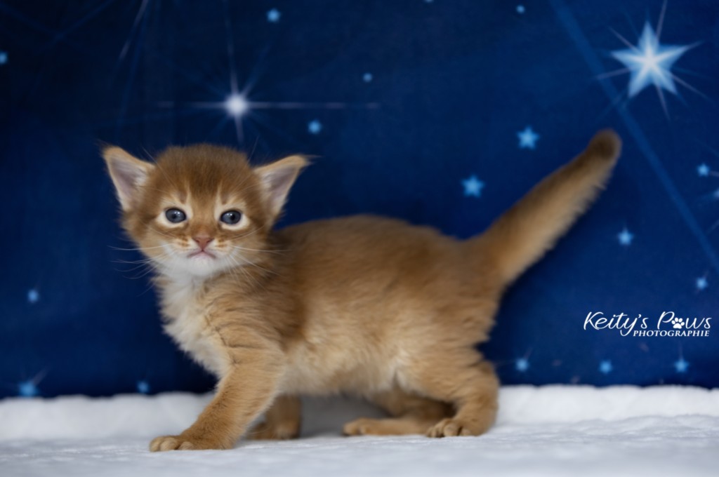  Aïdan-... 3 Semaines