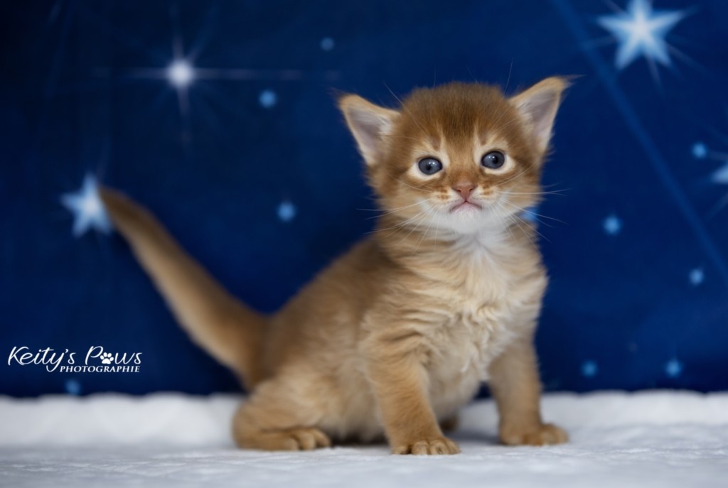  Aïdan-... 3 Semaines