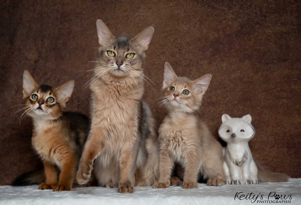  Zariyã Sitarã & Zéphyr Voltaire 2 Mois et maman