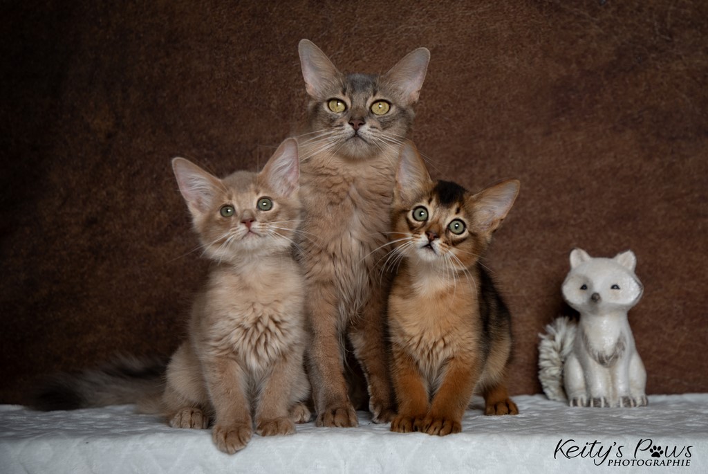  Zariyã Sitarã & Zéphyr Voltaire 2 Mois et maman