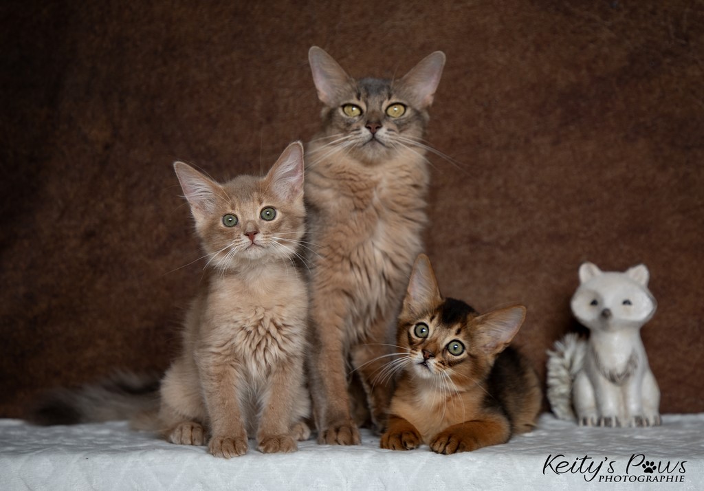  Zariyã Sitarã & Zéphyr Voltaire 2 Mois et maman