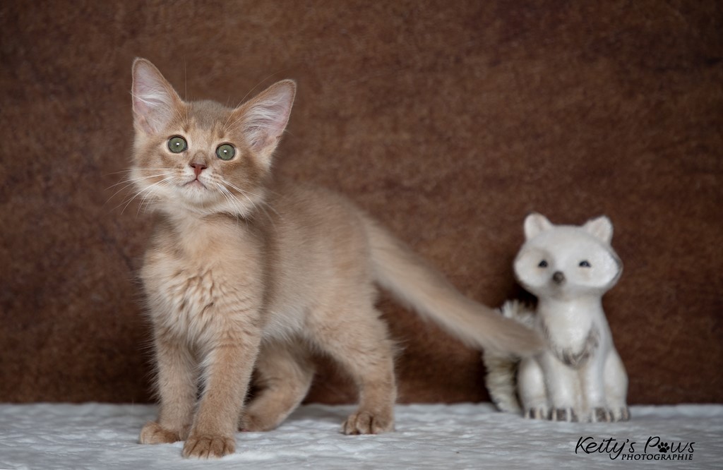  Zariyã Sitarã  2 Mois