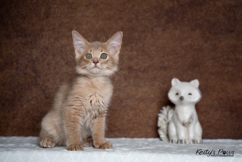  Zariyã Sitarã  2 Mois