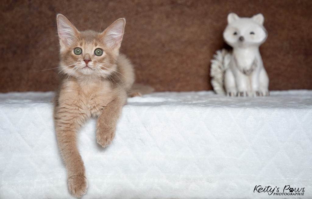  Zariyã Sitarã  2 Mois