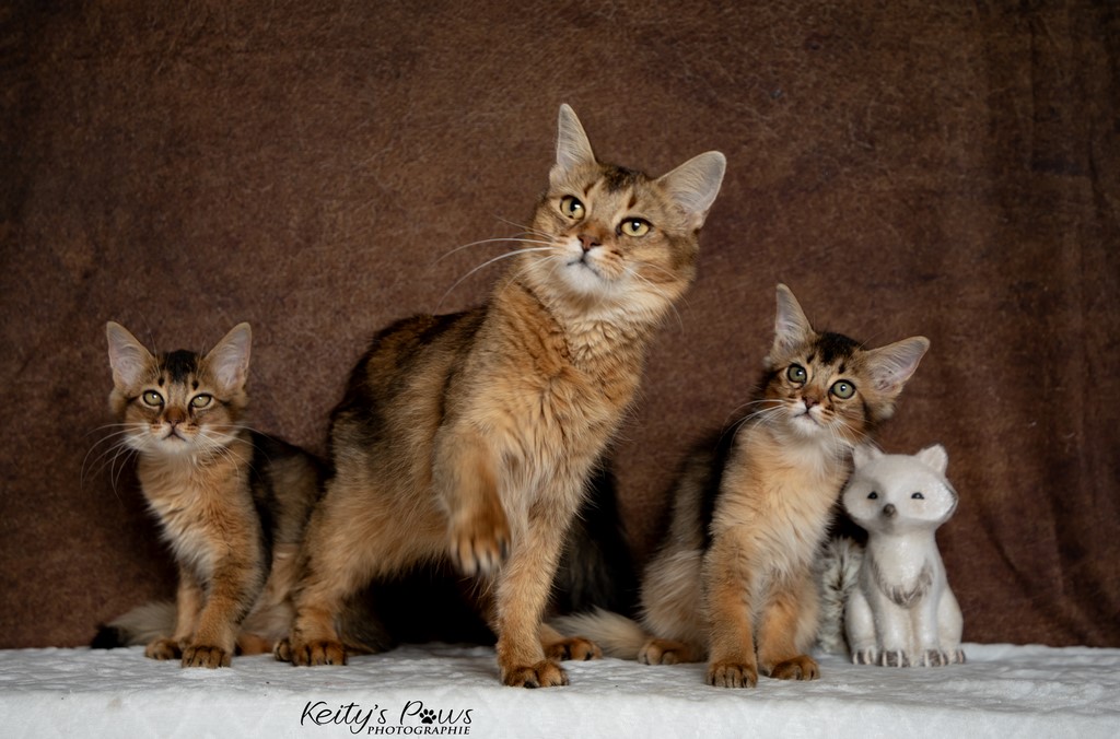  Vision Sola Wanda Vixy 3 Mois et maman